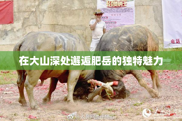 在大山深处邂逅肥岳的独特魅力
