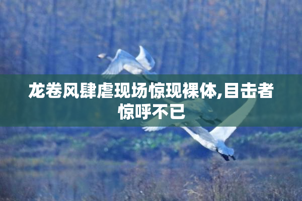 龙卷风肆虐现场惊现裸体,目击者惊呼不已