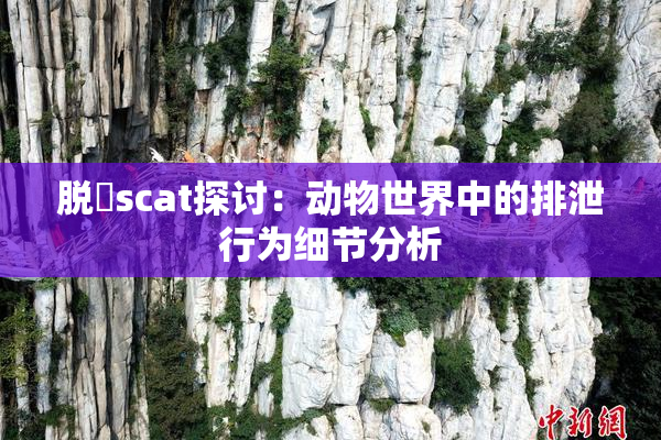 脱糞scat探讨：动物世界中的排泄行为细节分析