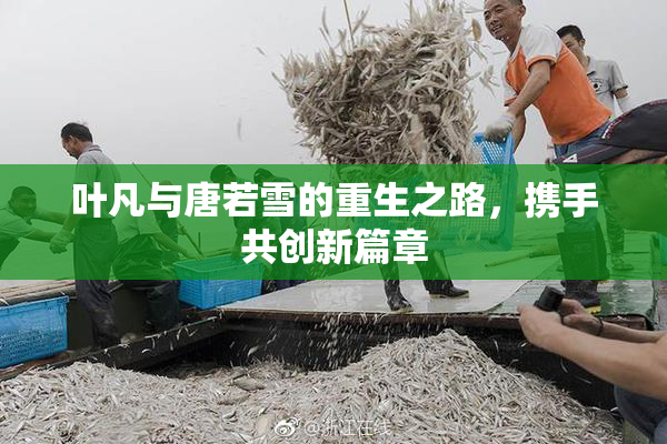 叶凡与唐若雪的重生之路，携手共创新篇章