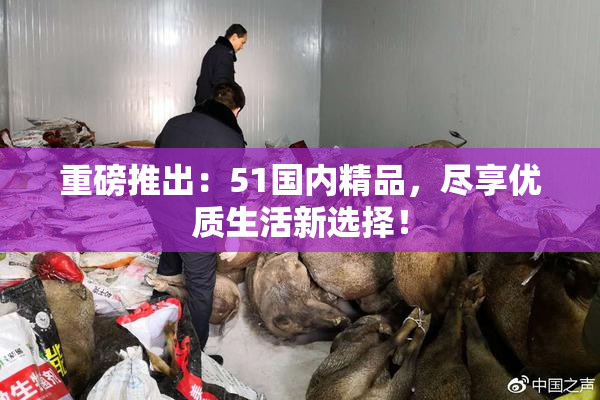 重磅推出：51国内精品，尽享优质生活新选择！