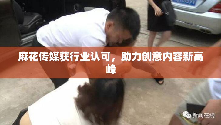 麻花传媒获行业认可，助力创意内容新高峰