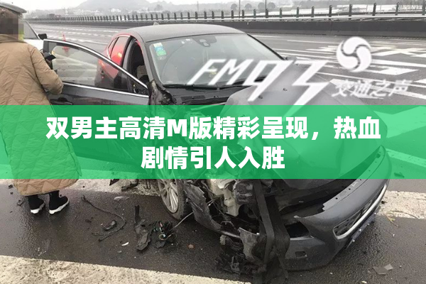 双男主高清M版精彩呈现，热血剧情引人入胜