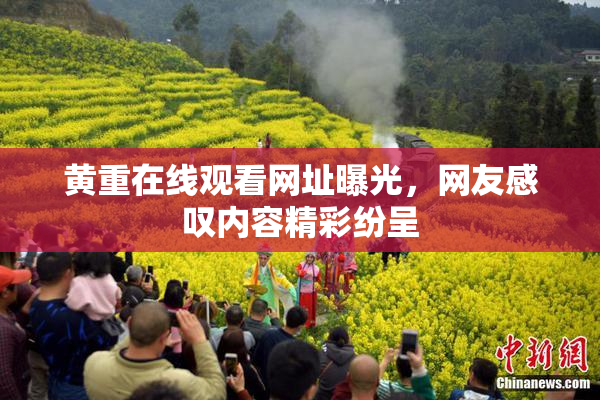 黄重在线观看网址曝光，网友感叹内容精彩纷呈
