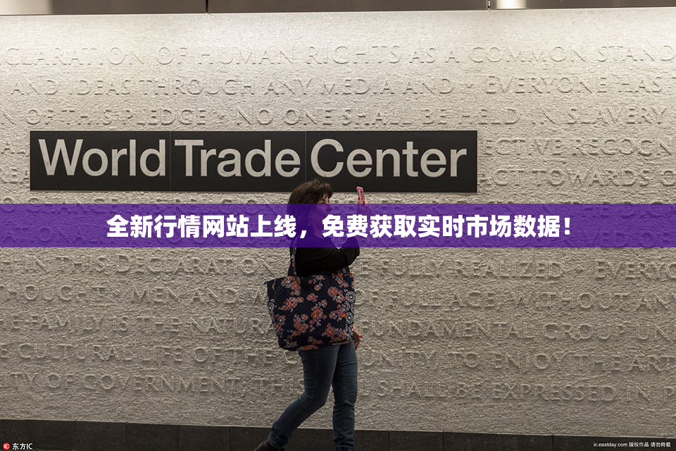 全新行情网站上线，免费获取实时市场数据！