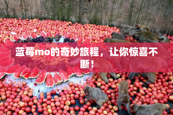 蓝莓mo的奇妙旅程，让你惊喜不断！