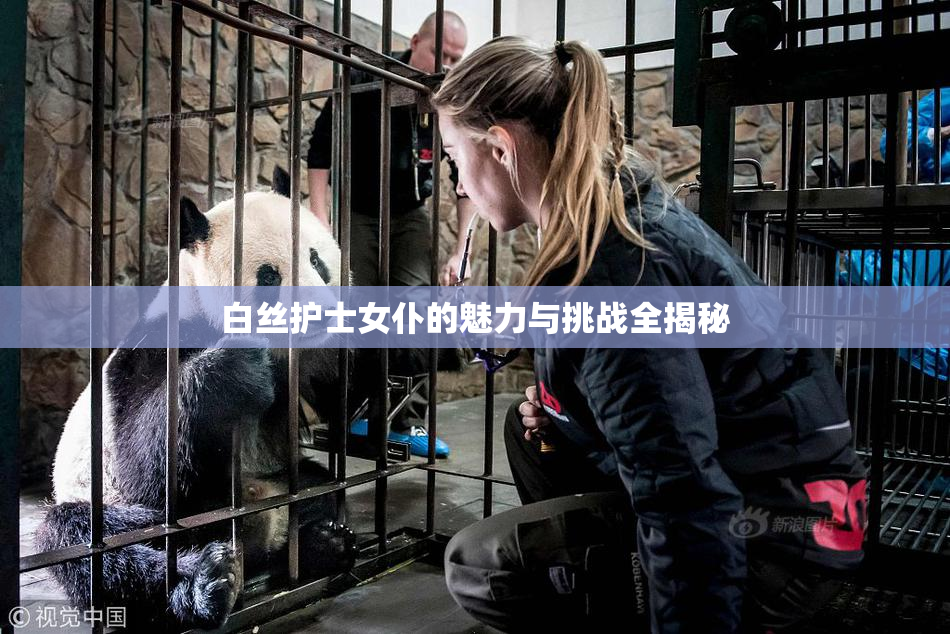 白丝护士女仆的魅力与挑战全揭秘