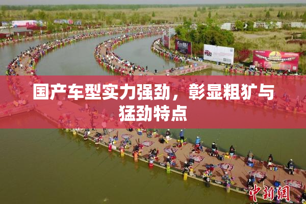 国产车型实力强劲，彰显粗犷与猛劲特点