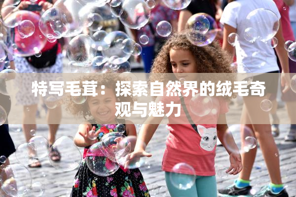 特写毛茸：探索自然界的绒毛奇观与魅力