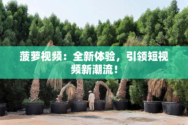 菠萝视频：全新体验，引领短视频新潮流！