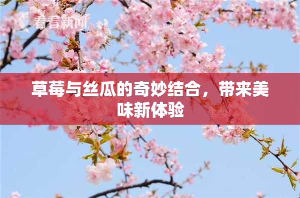 草莓与丝瓜的奇妙结合，带来美味新体验