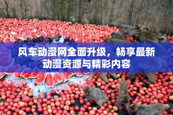 风车动漫网全面升级，畅享最新动漫资源与精彩内容