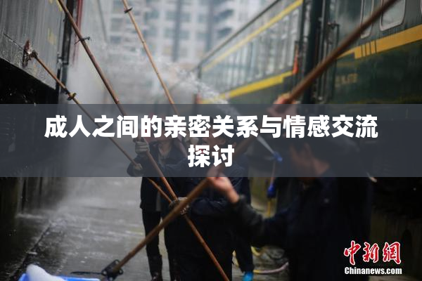 成人之间的亲密关系与情感交流探讨
