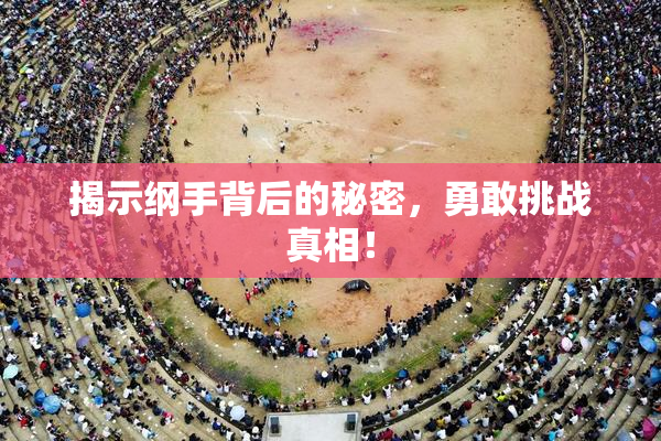 揭示纲手背后的秘密，勇敢挑战真相！