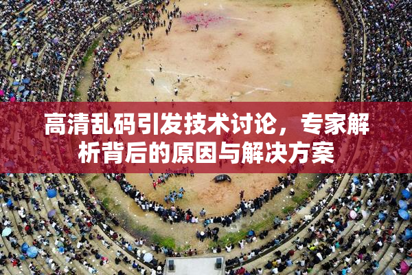 高清乱码引发技术讨论，专家解析背后的原因与解决方案
