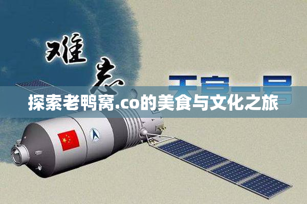 探索老鸭窝.co的美食与文化之旅