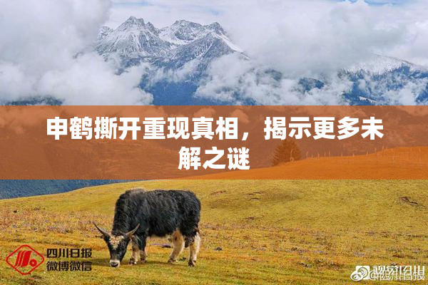 申鹤撕开重现真相，揭示更多未解之谜