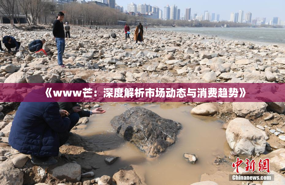 《www芒：深度解析市场动态与消费趋势》