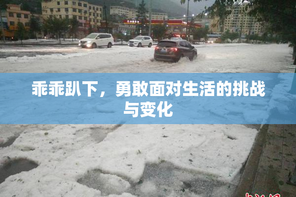 乖乖趴下，勇敢面对生活的挑战与变化