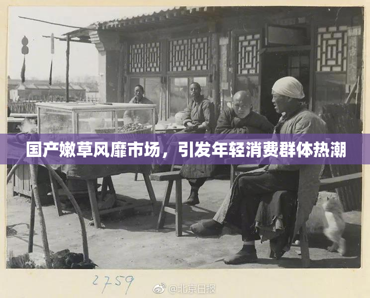 国产嫩草风靡市场，引发年轻消费群体热潮