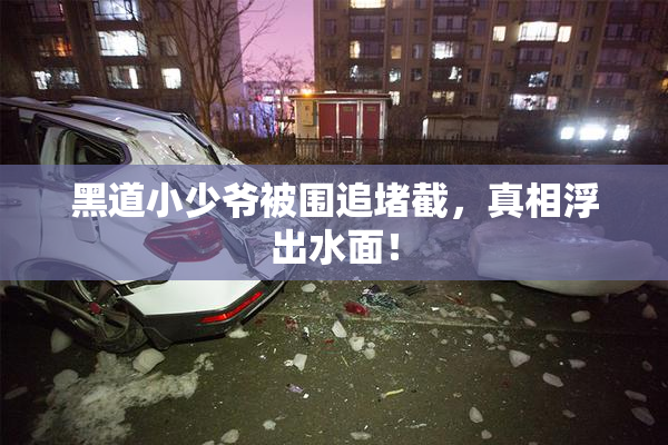 黑道小少爷被围追堵截，真相浮出水面！