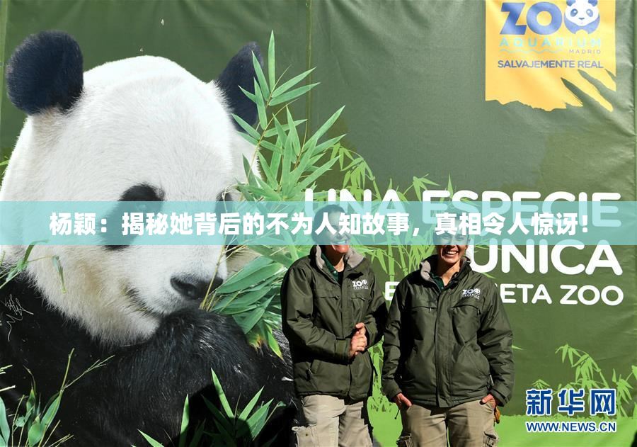 杨颖：揭秘她背后的不为人知故事，真相令人惊讶！