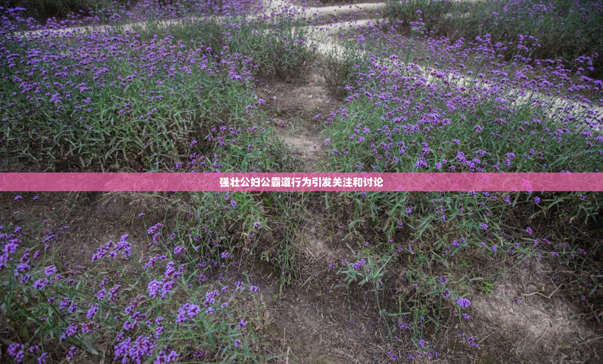 强壮公妇公霸道行为引发关注和讨论