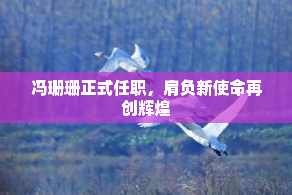 冯珊珊正式任职，肩负新使命再创辉煌