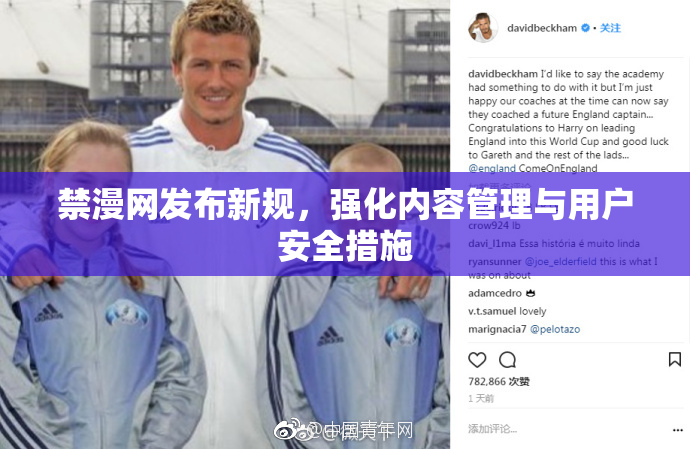禁漫网发布新规，强化内容管理与用户安全措施