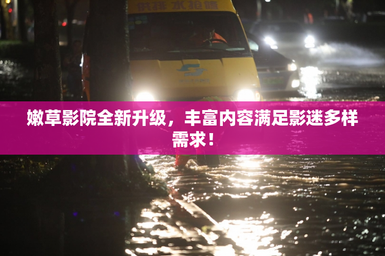 嫩草影院全新升级，丰富内容满足影迷多样需求！
