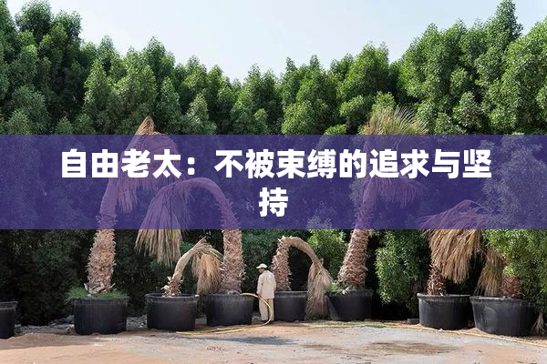 自由老太：不被束缚的追求与坚持