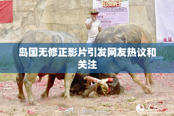 岛国无修正影片引发网友热议和关注