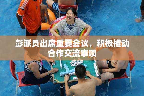 彭派员出席重要会议，积极推动合作交流事项
