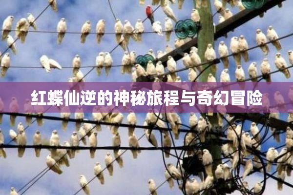 红蝶仙逆的神秘旅程与奇幻冒险