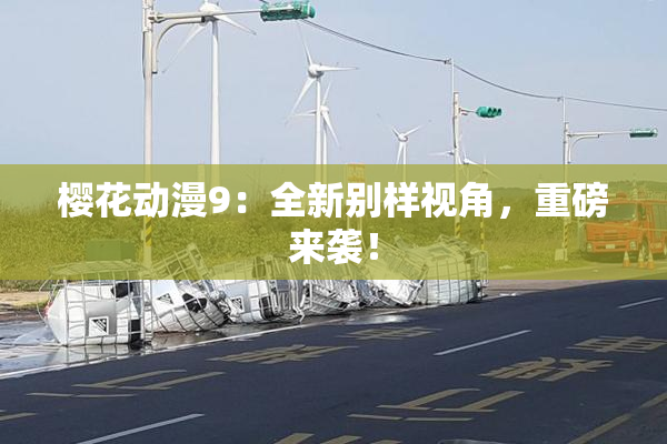 樱花动漫9：全新别样视角，重磅来袭！