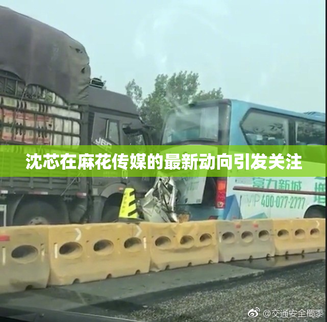 沈芯在麻花传媒的最新动向引发关注