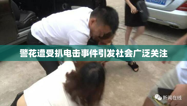 警花遭受扒电击事件引发社会广泛关注