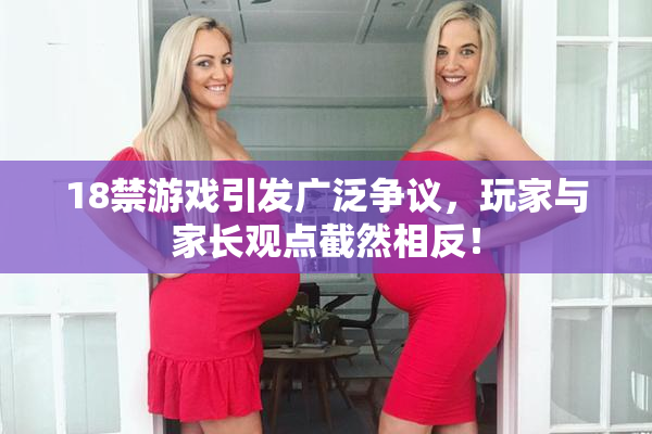 18禁游戏引发广泛争议，玩家与家长观点截然相反！