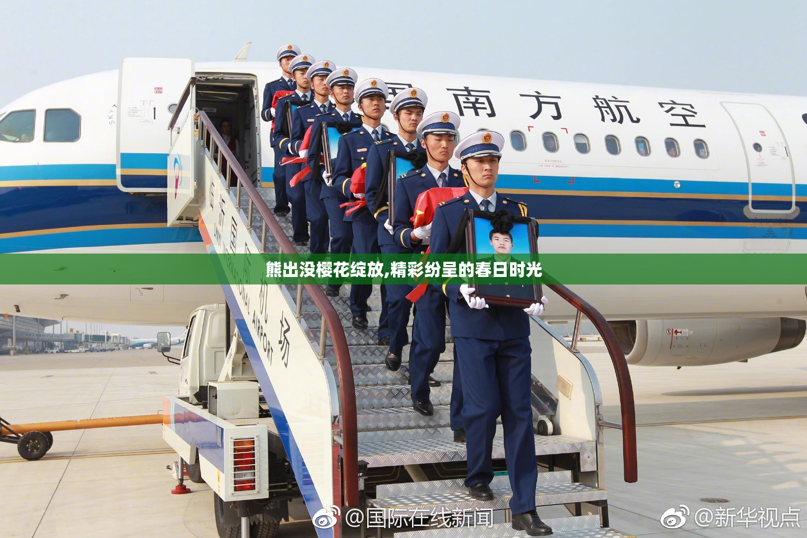 熊出没樱花绽放,精彩纷呈的春日时光