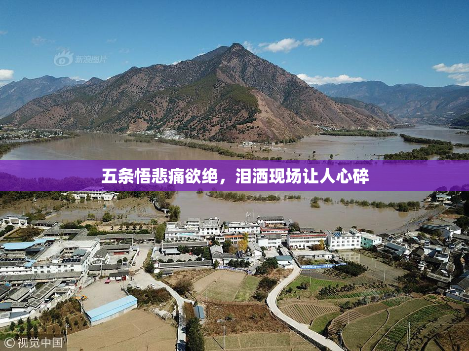 五条悟悲痛欲绝，泪洒现场让人心碎