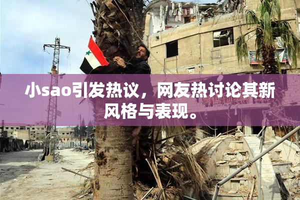 小sao引发热议，网友热讨论其新风格与表现。
