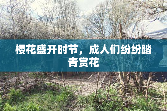 樱花盛开时节，成人们纷纷踏青赏花