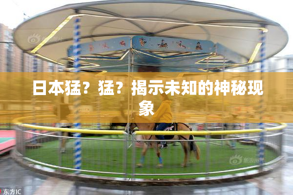日本猛？猛？揭示未知的神秘现象