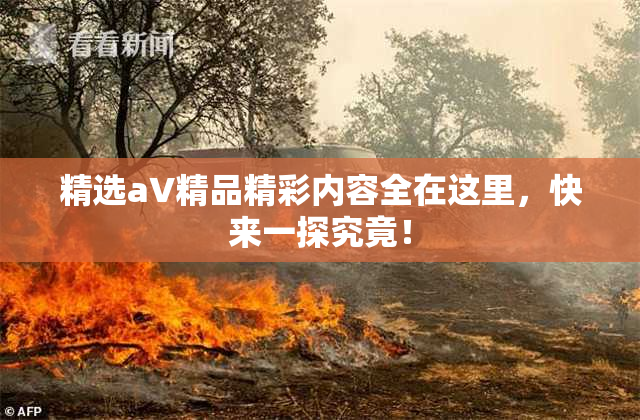 精选aV精品精彩内容全在这里，快来一探究竟！