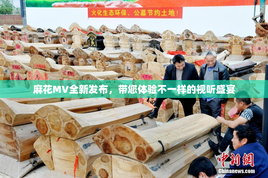麻花MV全新发布，带您体验不一样的视听盛宴