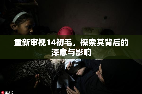 重新审视14初毛，探索其背后的深意与影响