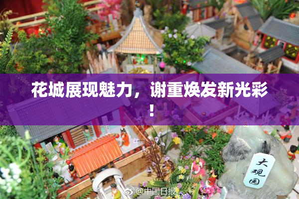 花城展现魅力，谢重焕发新光彩！