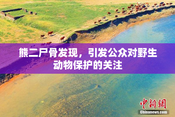 熊二尸骨发现，引发公众对野生动物保护的关注