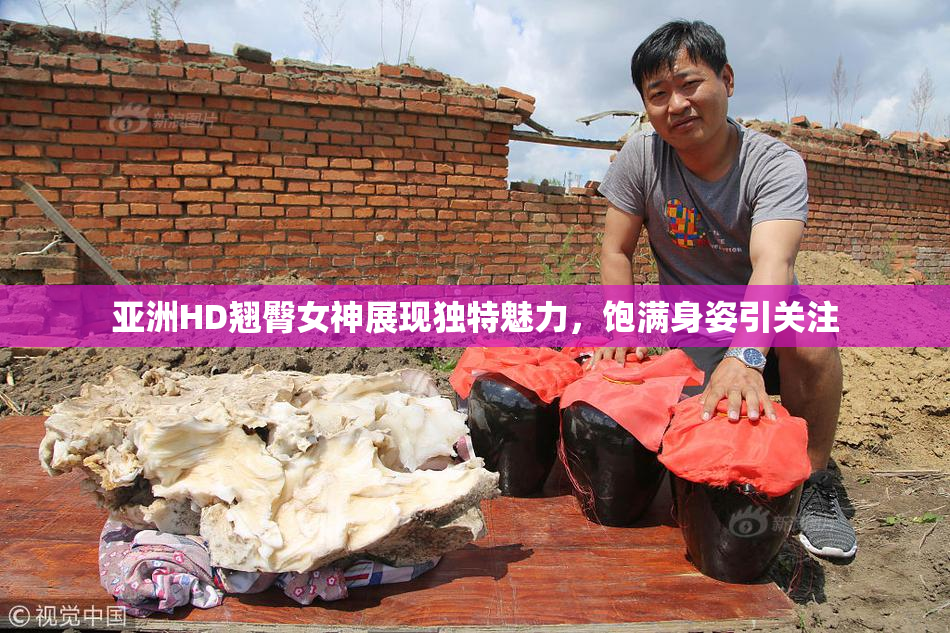 亚洲HD翘臀女神展现独特魅力，饱满身姿引关注