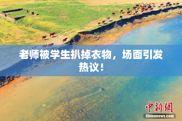 老师被学生扒掉衣物，场面引发热议！